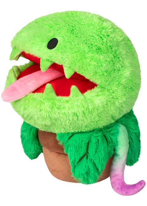 1 71817