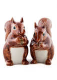 Succubus Home Animal Squirrel Pepper & Salzstreuer